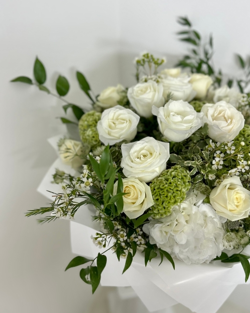 Celosia – Showstopper