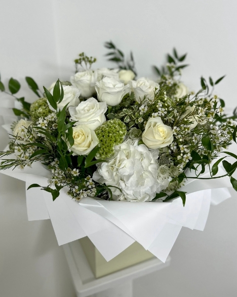 Celosia – Showstopper